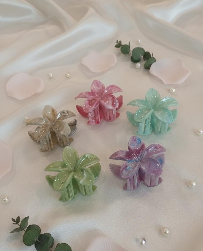 GANCHOS VARIOS CLRS 50