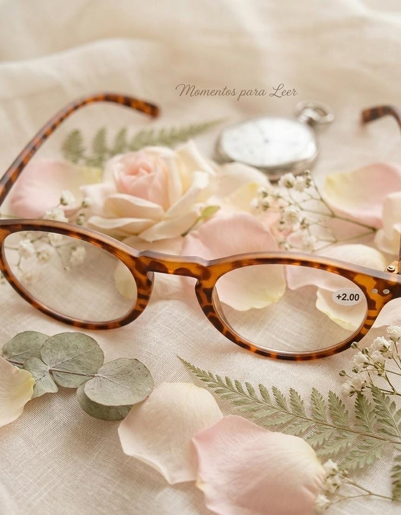 LENTES DE 190 SURTIDO