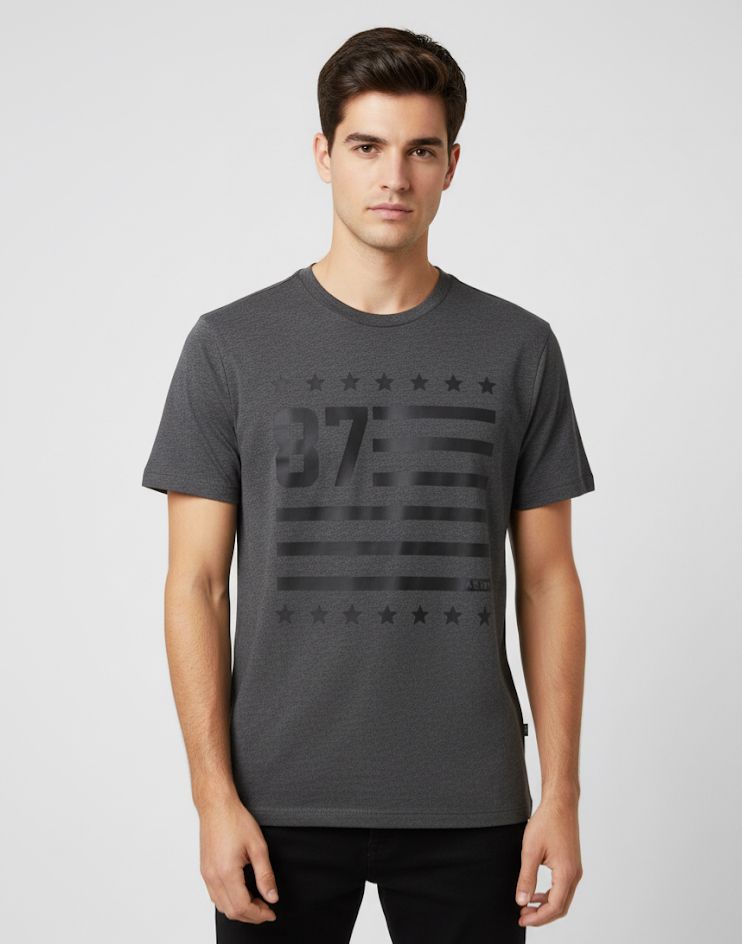 AEROPOSTALE CAMISETA C/R HOMBR GRIS-