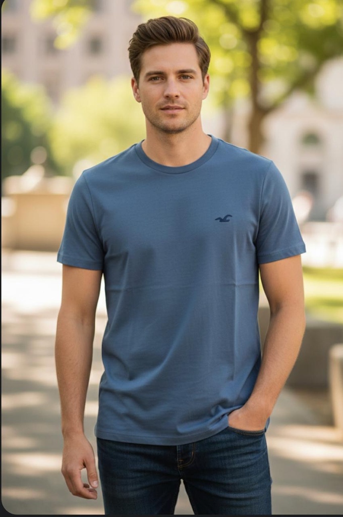 HOLLISTER CAMISETA AZUL HOMBRE