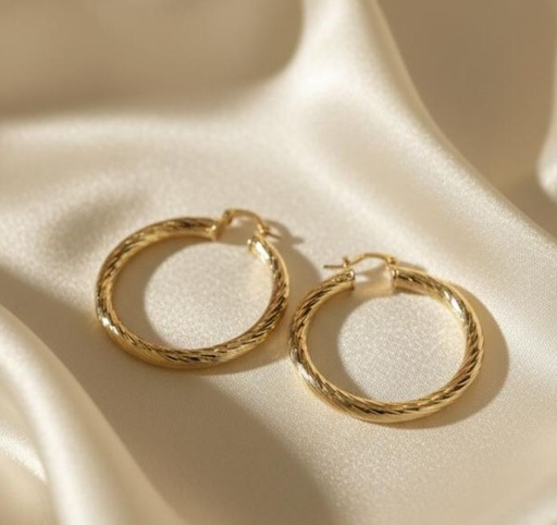 [AE036] ARETES ARGOLLA ENCHAPE 290